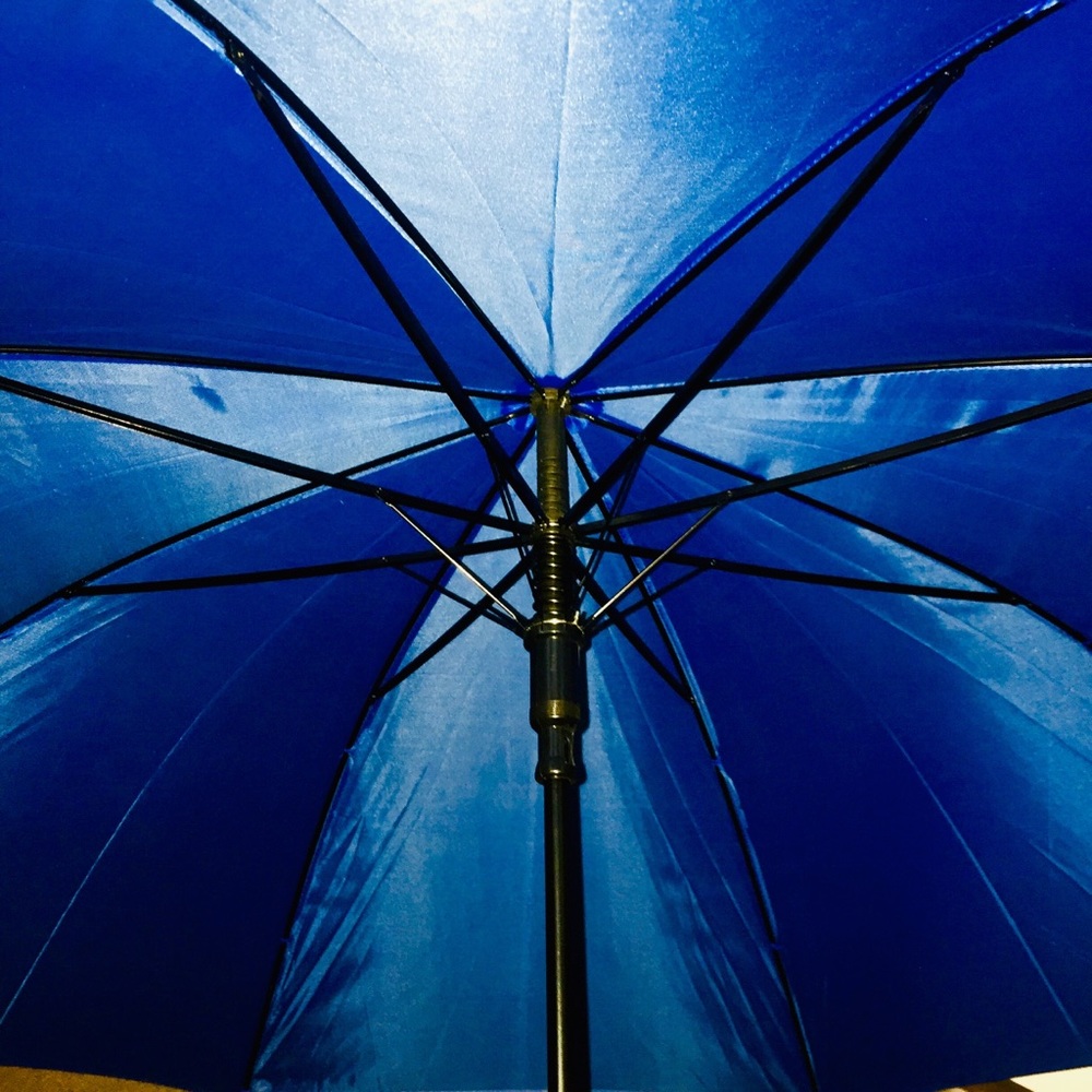 NEW IMPLIVA CANE HANDLE AUTO OPEN BLUE UMBRELLA - Picture 5 of 11